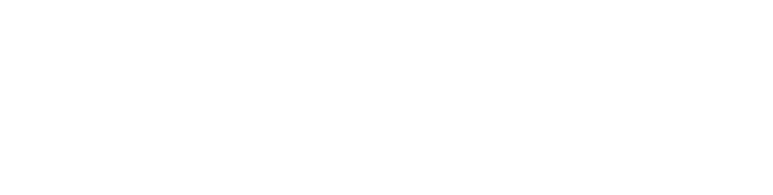 Oakwood Controls logo in white